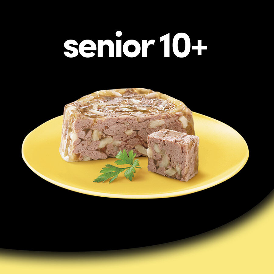28 tarrinas x 150 g (20 + 8 tarrinas &iexcl;gratis!) Cesar Pollo y Arroz Tarrina en Gelatina para Perros Senior, , large indicador imagen numero 5